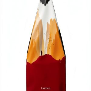 LUMEN Spanish Literature & Fiction Kindle Book-0